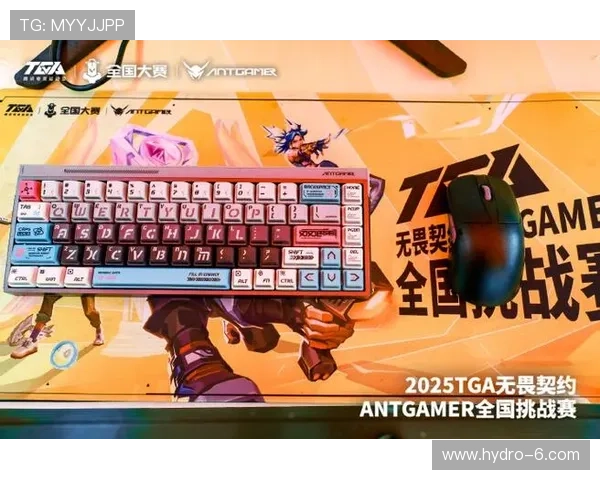 完美电竞官方下载平台安全可靠，保障玩家个人信息与游戏体验