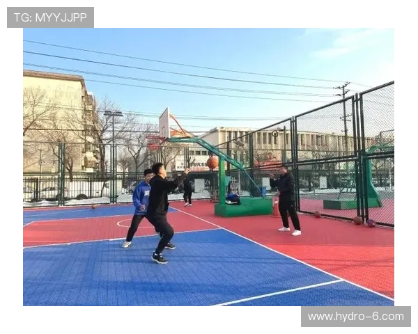 快鱼体育推动青少年体育文化建设的具体措施与成效分析