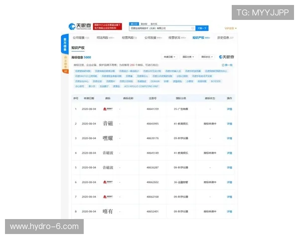 国际买球的正规网站有哪些推荐，安全可靠的线上投注平台详尽解析